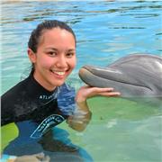 Di ritorno dagli Stati Uniti, Florida offro lezioni private di conversazione in lingua inglese